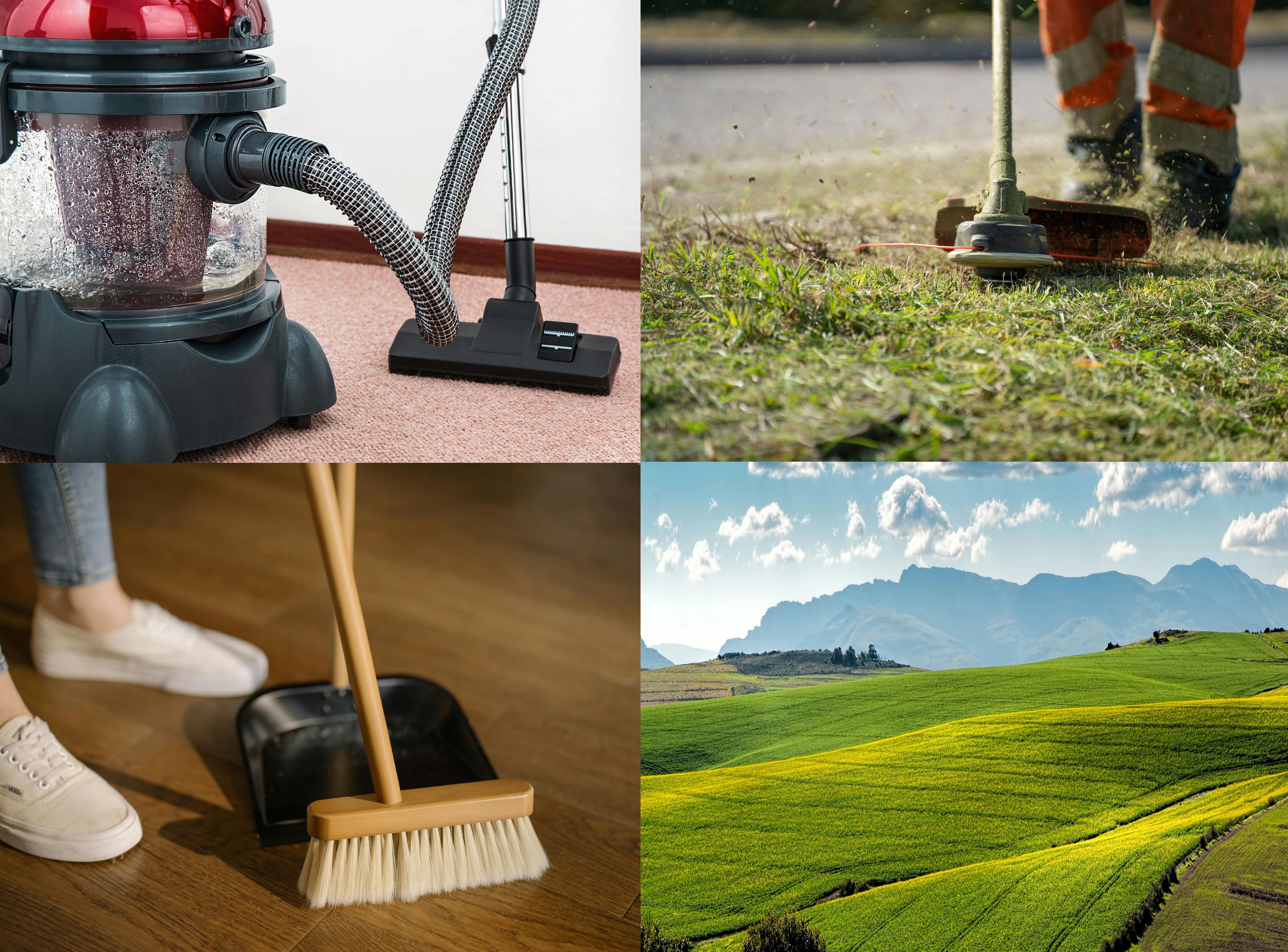 Professional Cleaning Service